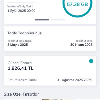 Yurt Dışında Kullanılamayan Hat, Boşa Kesilen Ücretler Ve Mağduriyet