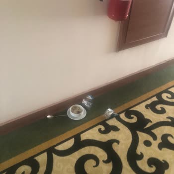 Oda Ve Havuz Temizliği İle Servis Sorunları Tatilimi Mahvetti