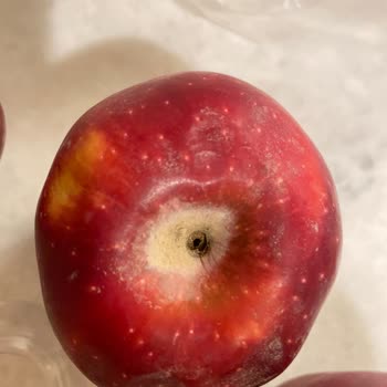 Migros Sanal Market'ten Sürekli Bozuk Meyve Ve Sebze Teslimatı