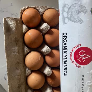 Migros Hemen Siparişimde Kırık Yumurtalar Ve Yetersiz Müşteri Hizmeti