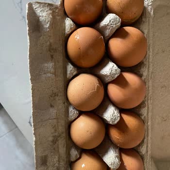 Migros Hemen Siparişimde Kırık Yumurtalar Ve Yetersiz Müşteri Hizmeti