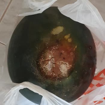 Çürük Karpuz Gönderimi Ve İlgisiz Müşteri Hizmetleri Mağduriyeti