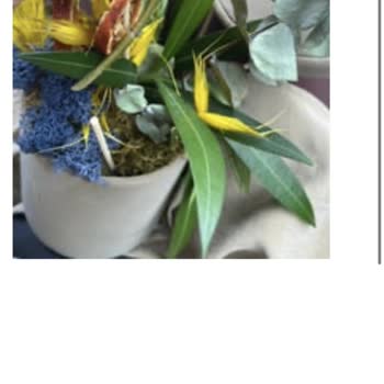 Teslim Edilen Orkide Canlı Değildi Ve Müşteri Hizmetlerinden Yanıt Alamadım