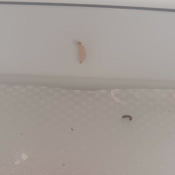 Arçelik Buzdolabımın Soğutmama Sorunu Ve Servis Hizmetindeki Gecikme Mağduriyeti