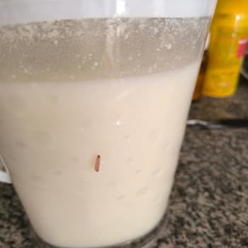 Arçelik Buzdolabımın Soğutmama Sorunu Ve Servis Hizmetindeki Gecikme Mağduriyeti