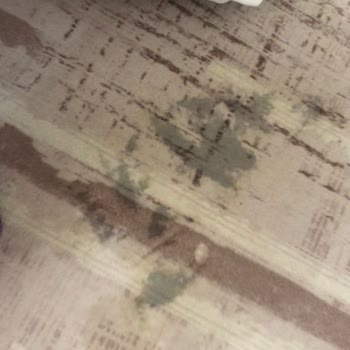 Getir Çürük Ürünler ve Müşteri Hizmetlerinden Dönüş Alamadım