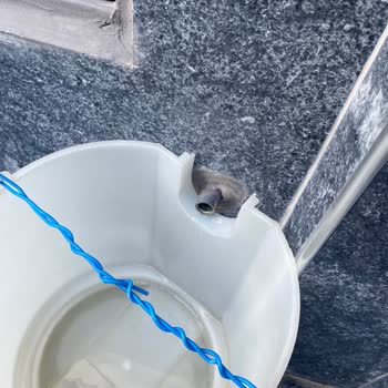 Ray Sigorta Konut Sigortası Hasar Ödemesinde Eksiklik Ve İletişim Sorunu