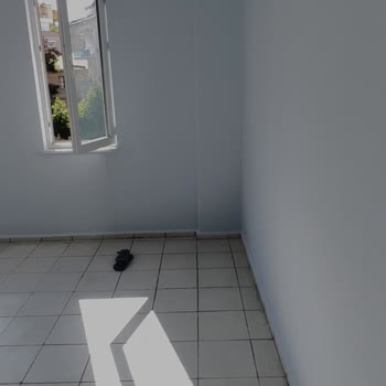 Marshall Karteladaki Renk İle Uygulama Sonrası Çıkan Ton Arasında Büyük Fark Yaşadım