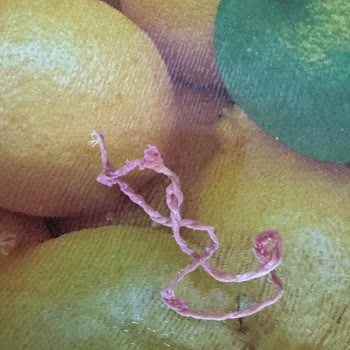 Salam Ürünü İçinde Yabancı Madde Tespiti Hakkında Şikayet