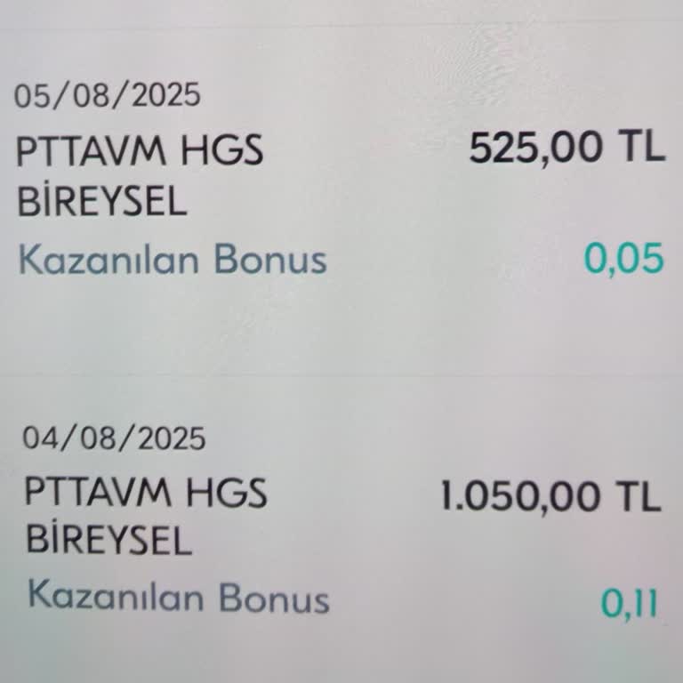 HGS Attığım Parayı Hesabıma Geçmiyor
