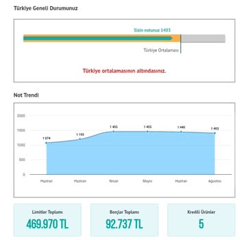 Kredi Puanımda Anlamsız Düşüş Ve Ücretli Bilgilendirme Sorunu
