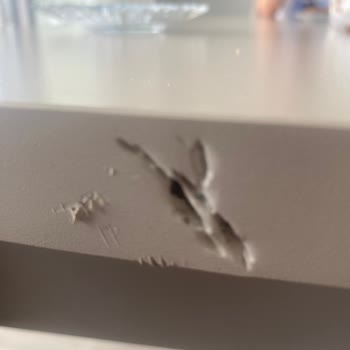 Taşınma Sonrası Eşyalarım Zarar Gördü, Sigorta Şirketi Mağduriyetimi Gidermiyor