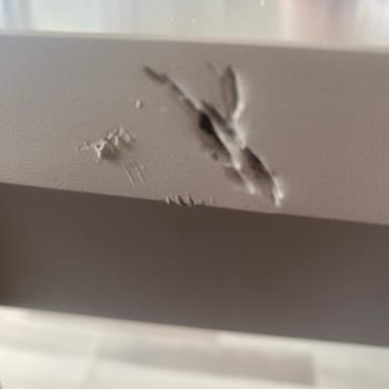 Taşınma Sonrası Eşyalarım Zarar Gördü, Sigorta Şirketi Mağduriyetimi Gidermiyor