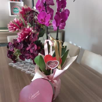 Hastalıklı Orkide Satışı Ve Para İadesi Talebi