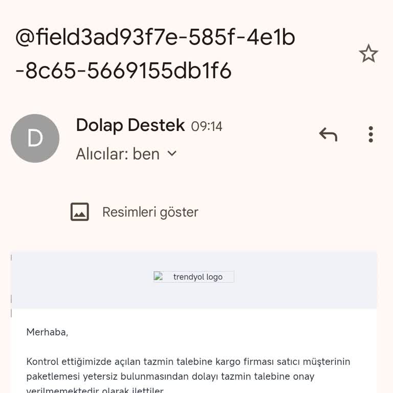 Kaybolan Kargomun Bedeli Ödenmedi, Mağduriyetim 2 Aydır Giderilmiyor