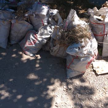 Adıyaman Gölbaşı'nda İki Aydır Evimin Önünde Biriken Çöpler Alınmıyor