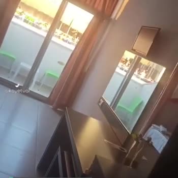 Jolly Tur Pişmanlıktır!