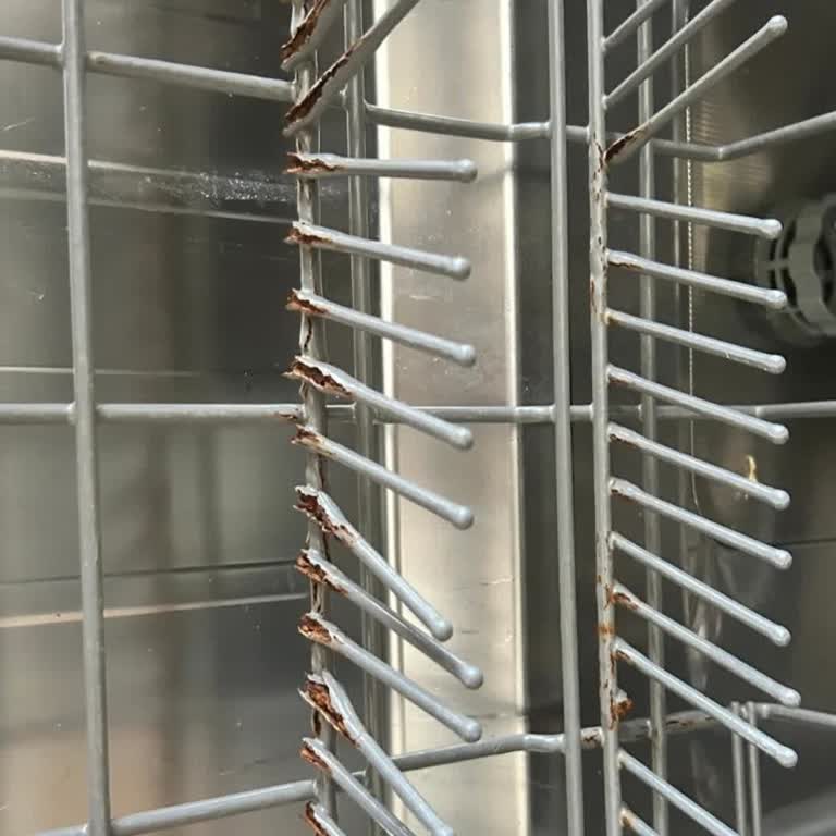 Bulaşık Makinesi Sepetinde Hızlı Paslanma Ve Yüksek Onarım Ücreti Şikayeti