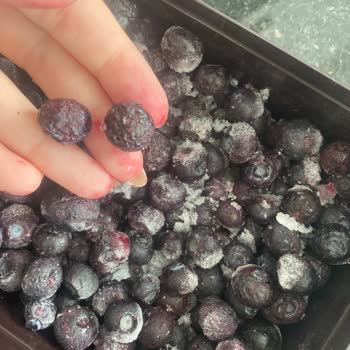 Migros’tan Aldığım Dondurulmuş Yaban Mersini Bozuk Çıktı, İade İstiyorum