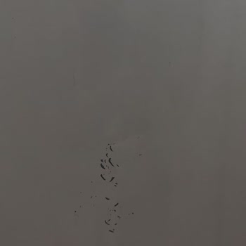 Derin Dondurucu Arızası Ve Yetersiz Servis Sonucu Mağduriyet