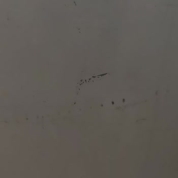 Derin Dondurucu Arızası Ve Yetersiz Servis Sonucu Mağduriyet