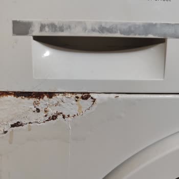 Bosch Maxx8 Çamaşır Makinesinde Kronik Paslanma Sorunu Mağduriyeti