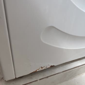 Bosch Maxx8 Çamaşır Makinesinde Kronik Paslanma Sorunu Mağduriyeti