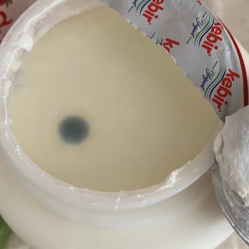 Aldığım Kebir Yoğurt Son Kullanma Tarihi Geçmeden Küflendi