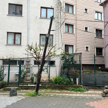 Yamulan Telefon Direği Ve Sarkmış Kablolar Nedeniyle Can Ve Mal Güvenliği Tehlikede, Acil Müdahale Bekleniyor