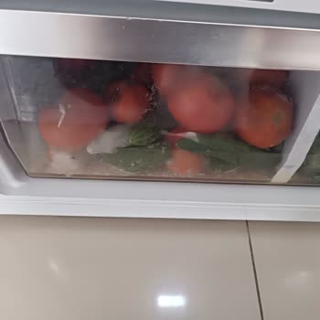Beko Buzdolabı Arızası İçin Servis Gelmiyor, Mağduriyetim Artıyor