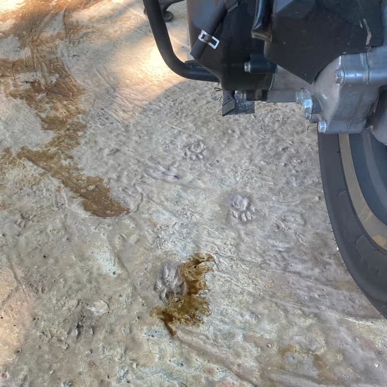 Yuki Hammer 125 Bakımında Fazla Yağ Konulması Ve Mağduriyet