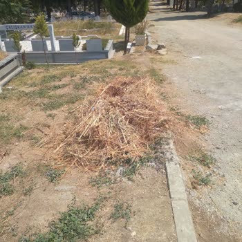 Hamitler Mezarlığı’nda Temizlik Ve Bakım İhmali: Şikayetler Cevapsız Kaldı