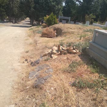 Hamitler Mezarlığı’nda Temizlik Ve Bakım İhmali: Şikayetler Cevapsız Kaldı