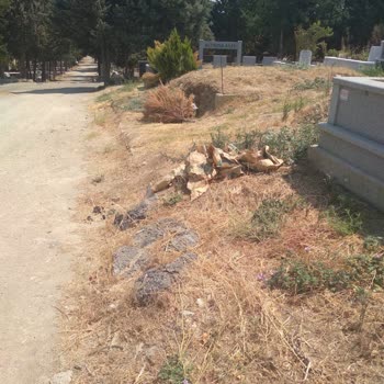 Hamitler Mezarlığı’nda Temizlik Ve Bakım İhmali: Şikayetler Cevapsız Kaldı