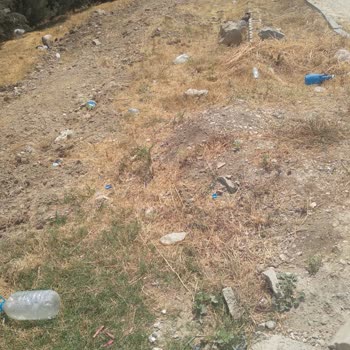 Hamitler Mezarlığı’nda Temizlik Ve Bakım İhmali: Şikayetler Cevapsız Kaldı