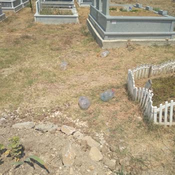 Hamitler Mezarlığı’nda Temizlik Ve Bakım İhmali: Şikayetler Cevapsız Kaldı