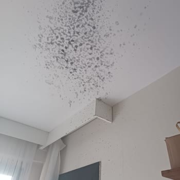 Patlayan Su Arıtıcı Cihazı Ve Yetersiz Servis Yaklaşımı Mağduriyeti