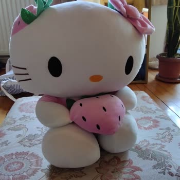 Kullanılmamış Ürünün İadesi Haksız Yere Reddedildi, Mağdur Edildim