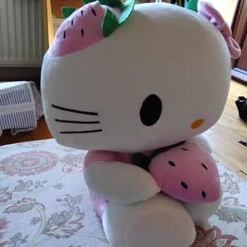 Kullanılmamış Ürünün İadesi Haksız Yere Reddedildi, Mağdur Edildim