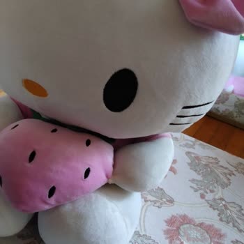 Kullanılmamış Ürünün İadesi Haksız Yere Reddedildi, Mağdur Edildim