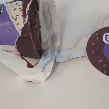 Dondurmadan Çıkan Donmuş Sinek Şoku!