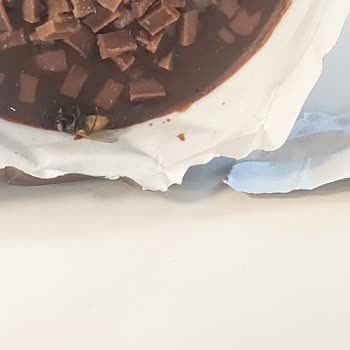 Dondurmadan Çıkan Donmuş Sinek Şoku!