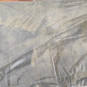 Küflü Koltuk Ve İletişim Eksikliği Mağduriyeti