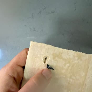 Superfresh Milföy Hamurunda Plastik Parça Ve Yetersiz Müşteri Hizmeti