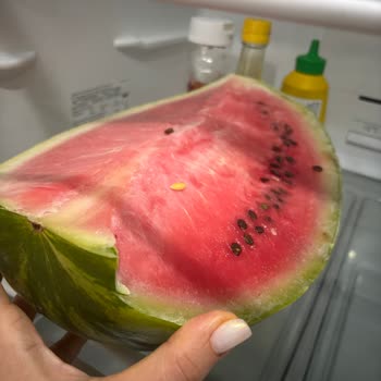 Siemens Buzdolabında Süregelen Arızalar Ve Yetersiz Servis Deneyimi