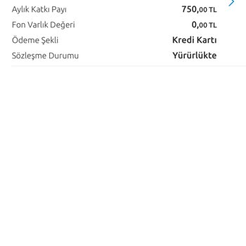 Allianz BES Sözleşmemi İptal Ettiremiyorum, Param Geri Verilmiyor