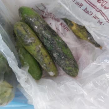 Yeni Arçelik Buzdolabı Arızası Ve Maddi Kayıp Nedeniyle Mağduriyet Yaşadım