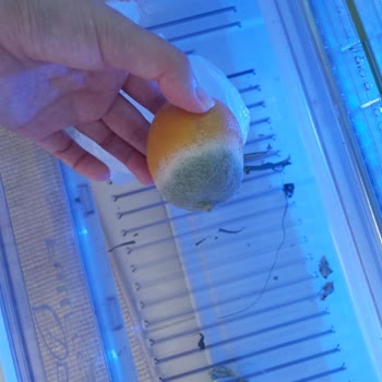 Yeni Arçelik Buzdolabı Arızası Ve Maddi Kayıp Nedeniyle Mağduriyet Yaşadım