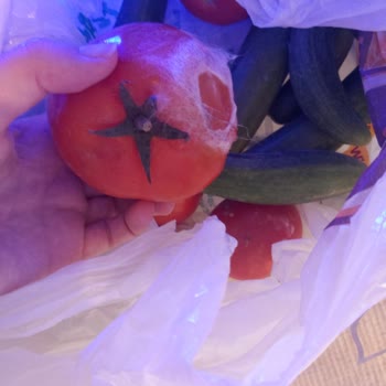 Yeni Arçelik Buzdolabı Arızası Ve Maddi Kayıp Nedeniyle Mağduriyet Yaşadım