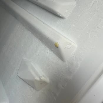 Kusurlu Derin Dondurucuya Servisten Ve Samsung'dan Çözüm Bekliyorum